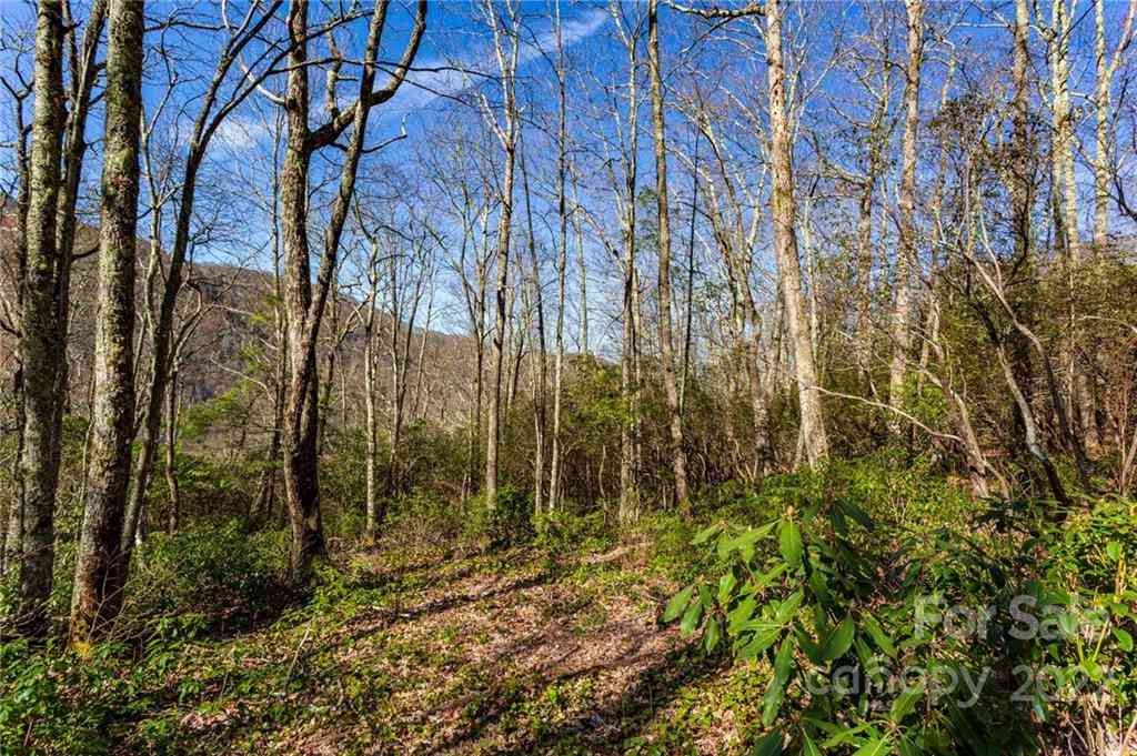 Lot 81 Shangri Lane #81, Qualla, North Carolina image 9