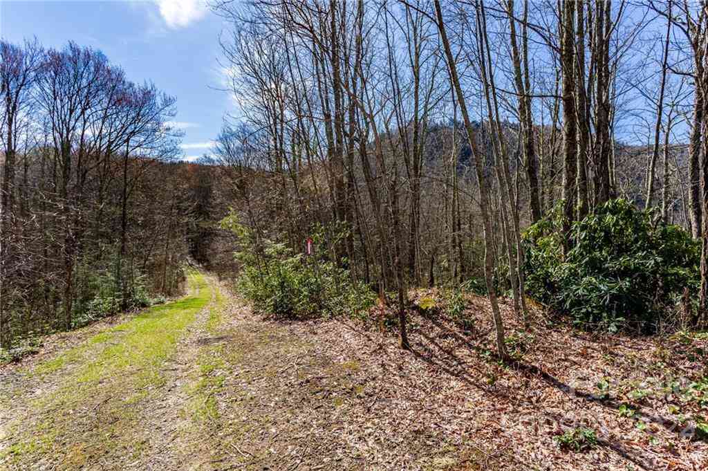 Lot 81 Shangri Lane #81, Qualla, North Carolina image 16