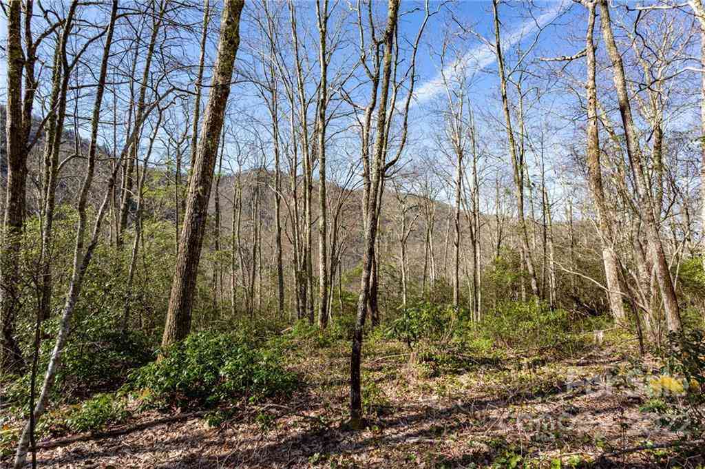 Lot 81 Shangri Lane #81, Qualla, North Carolina image 8