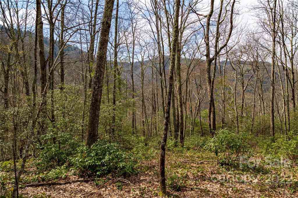 Lot 81 Shangri Lane #81, Qualla, North Carolina image 6