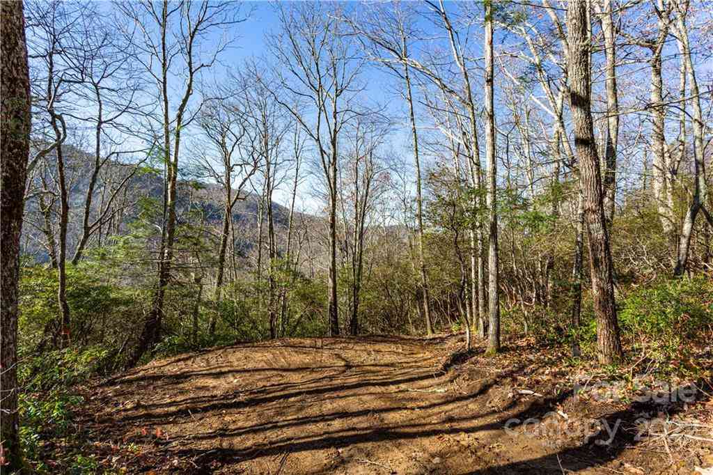 Lot 81 Shangri Lane #81, Qualla, North Carolina image 1