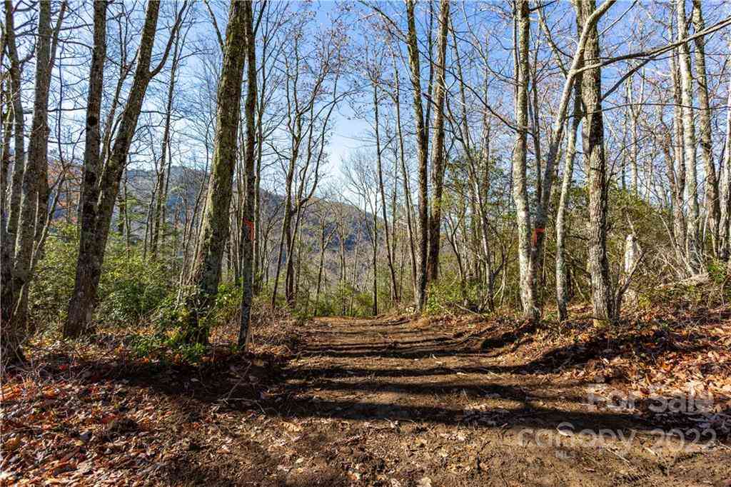 Lot 81 Shangri Lane #81, Qualla, North Carolina image 3