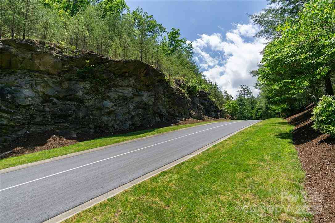 Mills River Way #53R, Horse Shoe, North Carolina image 4