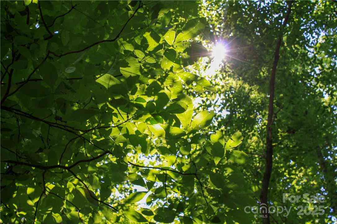 TBD Greenyard Trail #7, Candler, North Carolina image 16