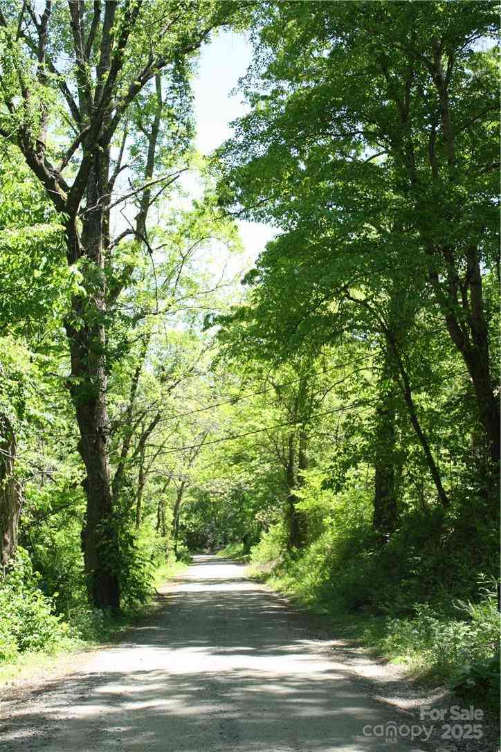 TBD Greenyard Trail #7, Candler, North Carolina image 3