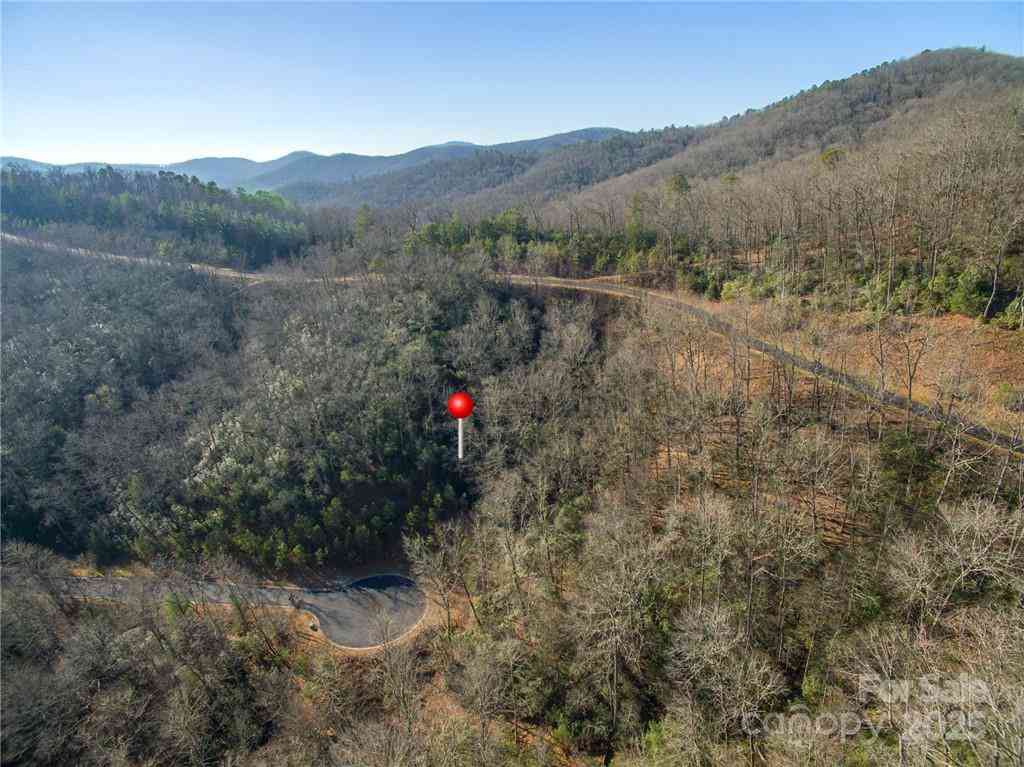 9999 Mayfly Lane #106, Horse Shoe, North Carolina image 8