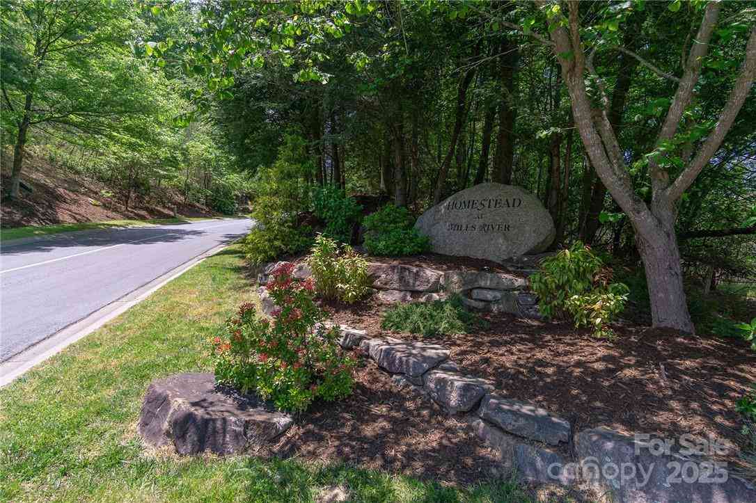 9999 Mayfly Lane #106, Horse Shoe, North Carolina image 3