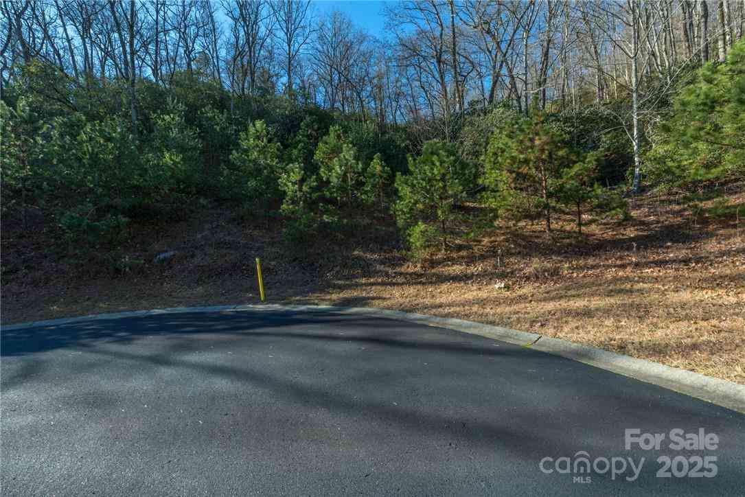 9999 Mayfly Lane #106, Horse Shoe, North Carolina image 13