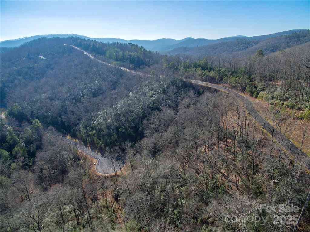 9999 Mayfly Lane #106, Horse Shoe, North Carolina image 20