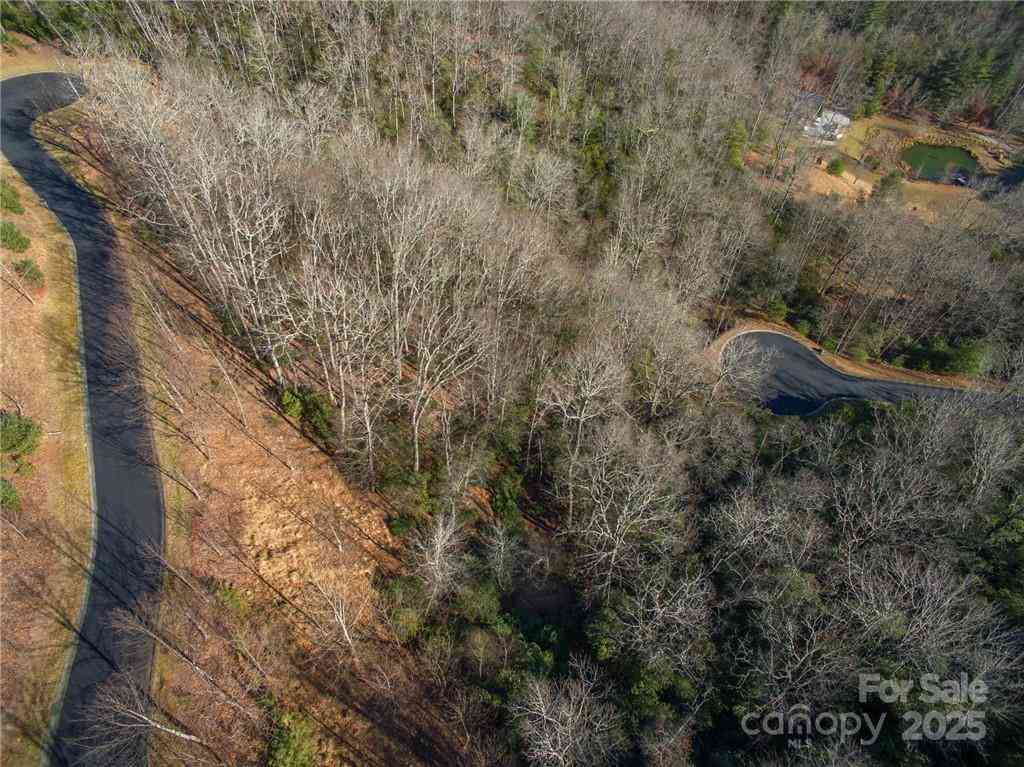 9999 Mayfly Lane #106, Horse Shoe, North Carolina image 10