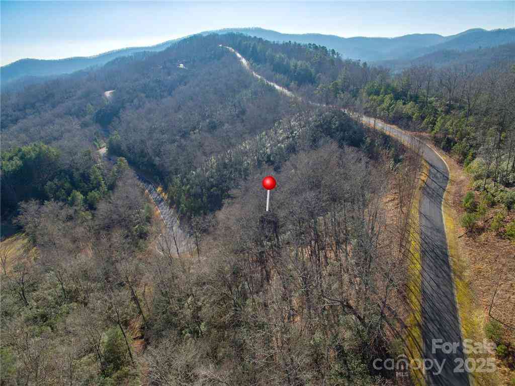 9999 Mayfly Lane #106, Horse Shoe, North Carolina image 7