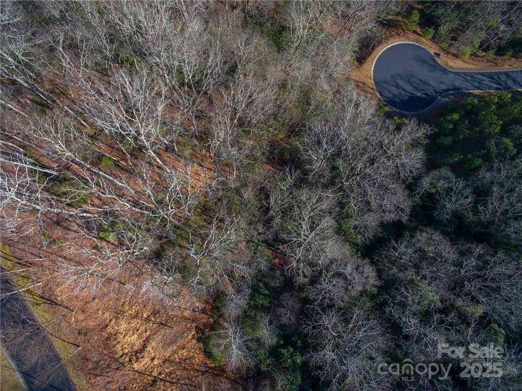 9999 Mayfly Lane #106, Horse Shoe, North Carolina image 21