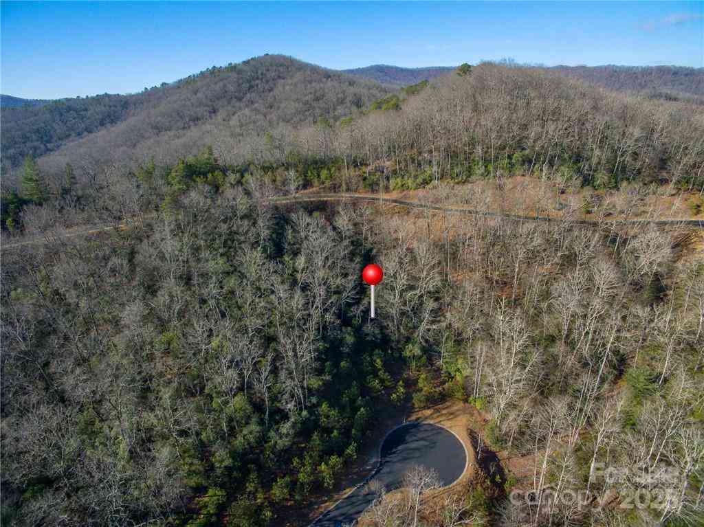 9999 Mayfly Lane #106, Horse Shoe, North Carolina image 1