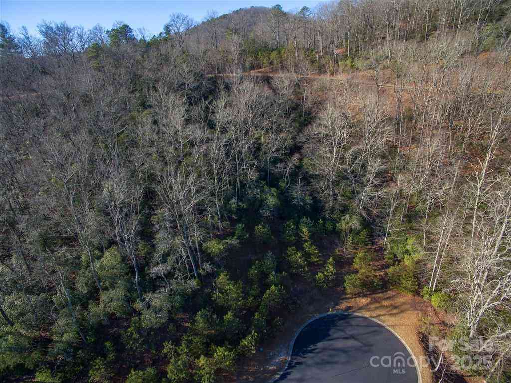 9999 Mayfly Lane #106, Horse Shoe, North Carolina image 9