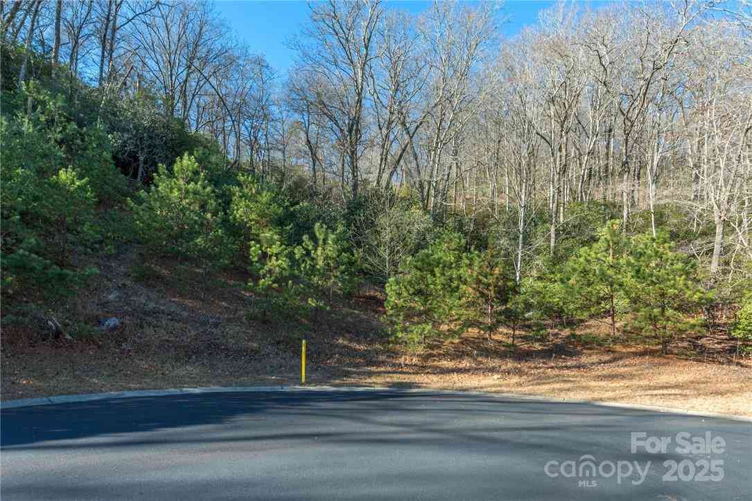 9999 Mayfly Lane #106, Horse Shoe, North Carolina image 12