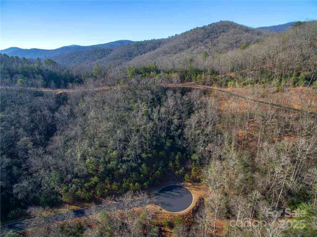 9999 Mayfly Lane #106, Horse Shoe, North Carolina image 15