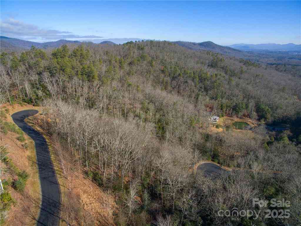 9999 Mayfly Lane #106, Horse Shoe, North Carolina image 11