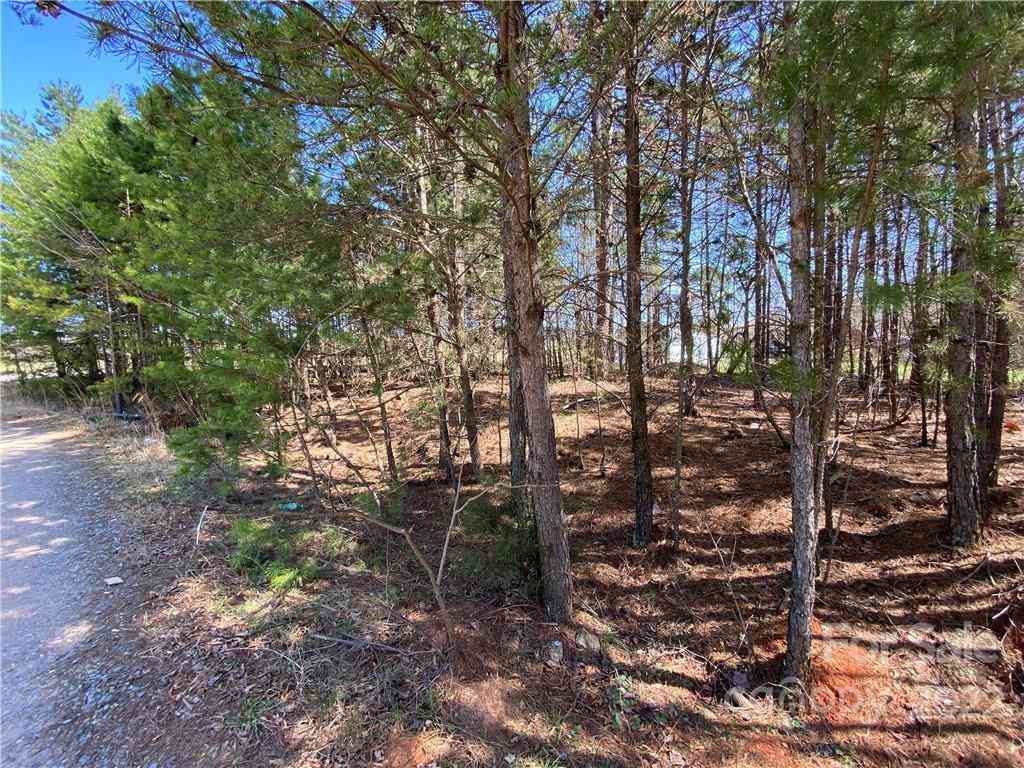 Next To 1670 Buck Oak Road, Lincolnton, North Carolina image 8