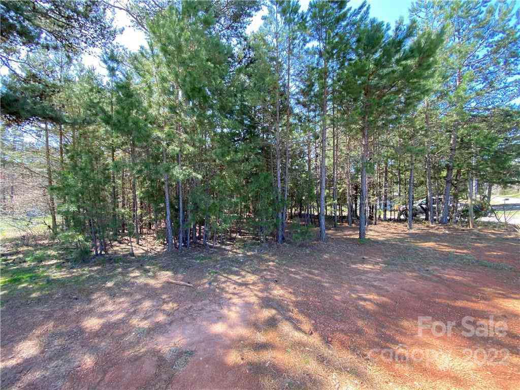 Next To 1670 Buck Oak Road, Lincolnton, North Carolina image 5