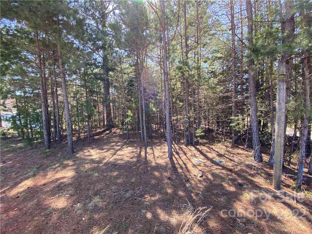 Next To 1670 Buck Oak Road, Lincolnton, North Carolina image 3
