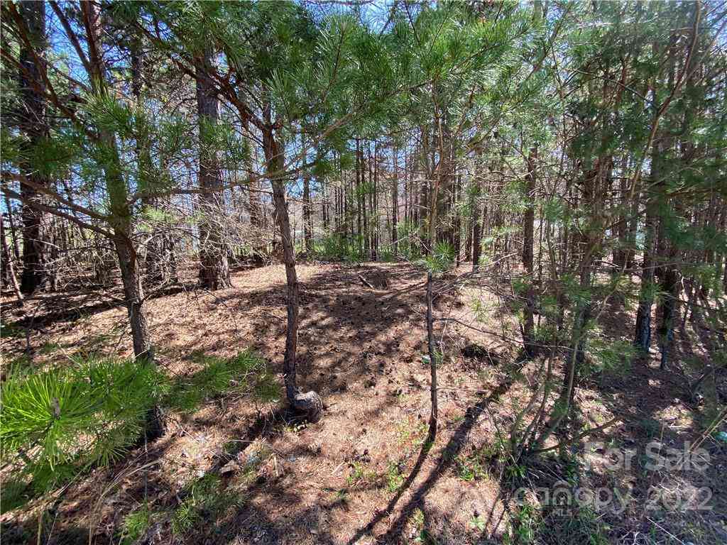 Next To 1670 Buck Oak Road, Lincolnton, North Carolina image 7
