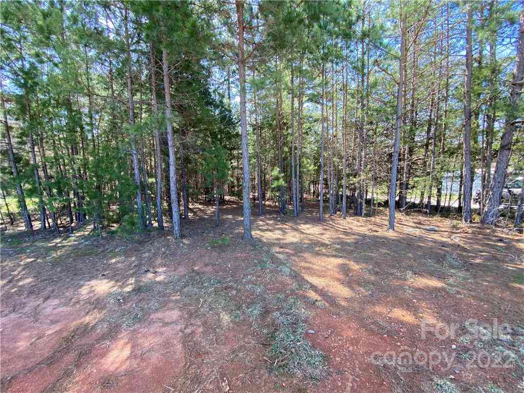 Next To 1670 Buck Oak Road, Lincolnton, North Carolina image 4
