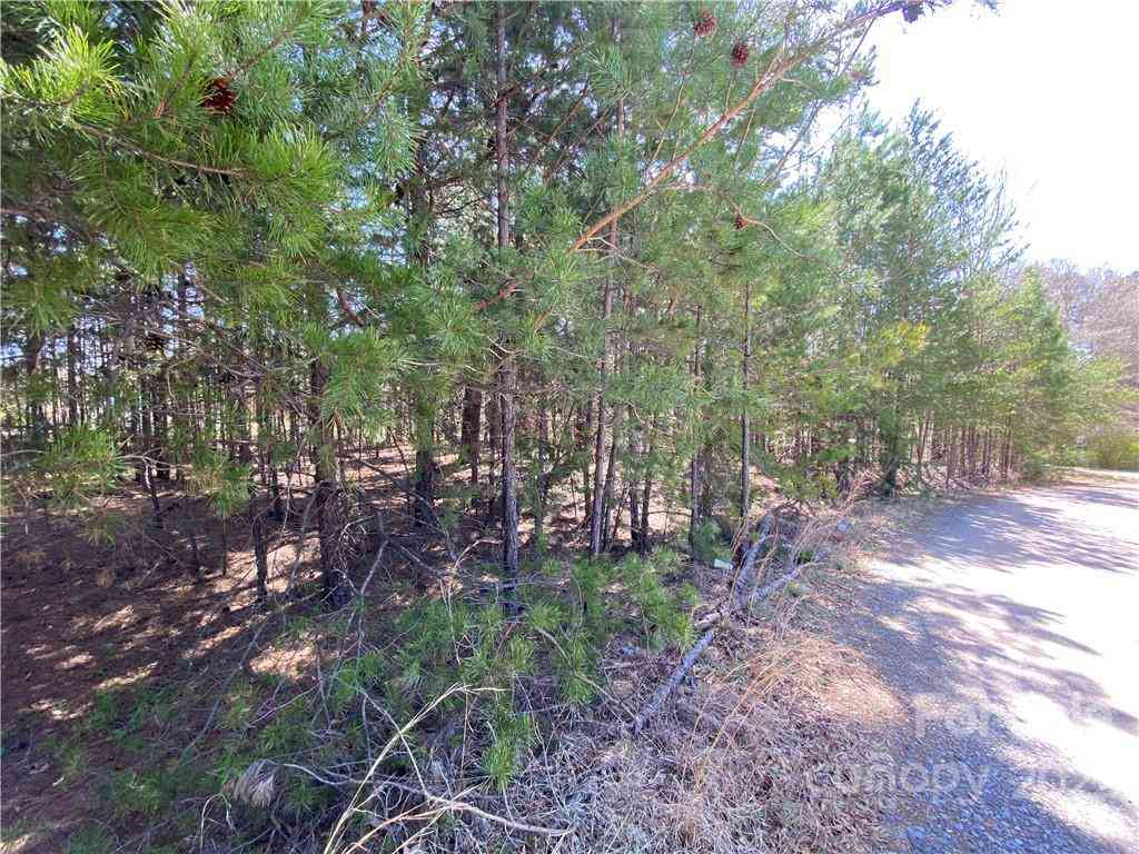 Next To 1670 Buck Oak Road, Lincolnton, North Carolina image 6