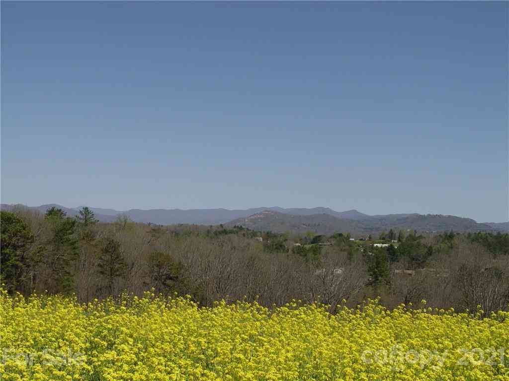 1293 Bear Creek Road, Leicester, North Carolina image 5