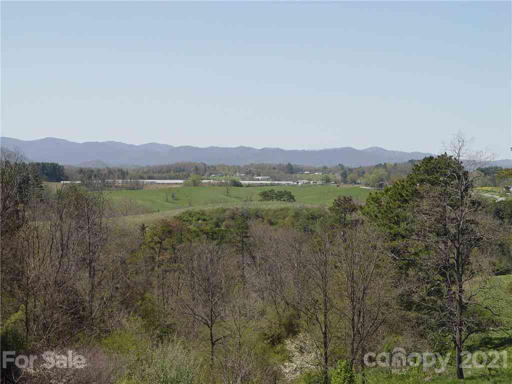 1293 Bear Creek Road, Leicester, North Carolina image 8