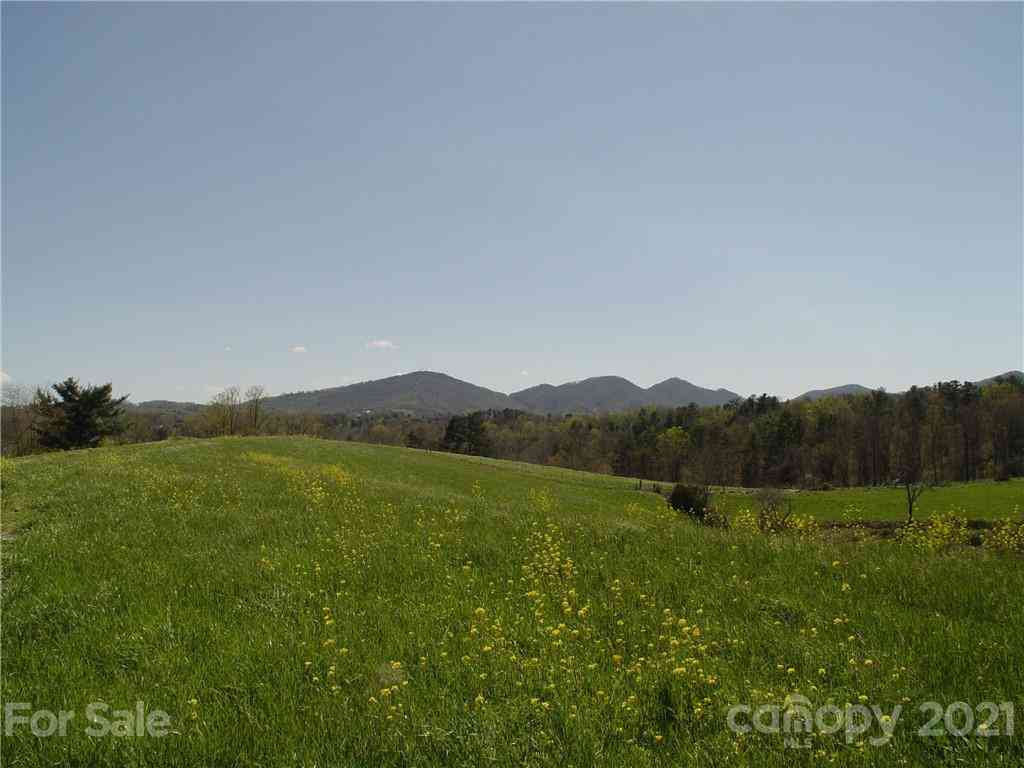 1293 Bear Creek Road, Leicester, North Carolina image 4