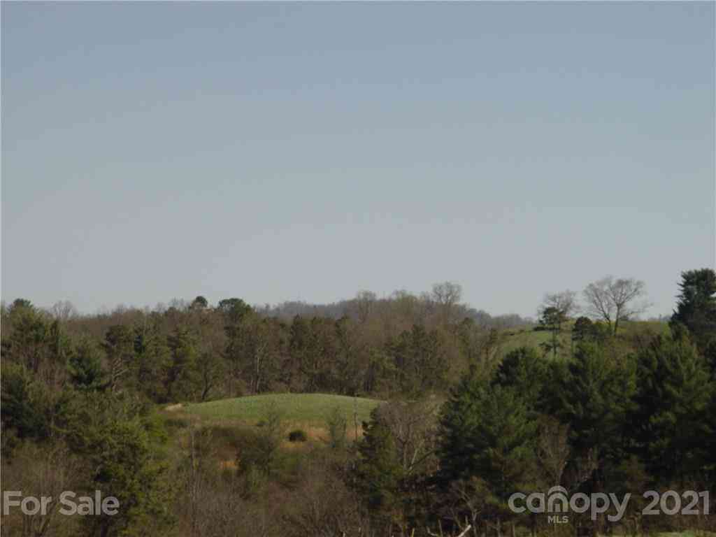 1293 Bear Creek Road, Leicester, North Carolina image 11