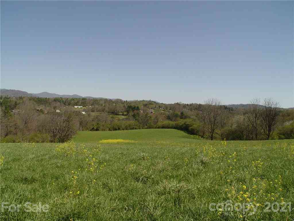 1293 Bear Creek Road, Leicester, North Carolina image 2