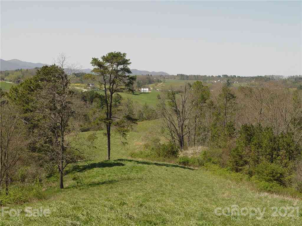 1293 Bear Creek Road, Leicester, North Carolina image 9