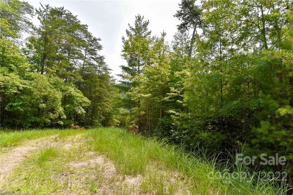 Lot 22 The Vines Boulevard #LOT 22, Marshall, North Carolina image 1