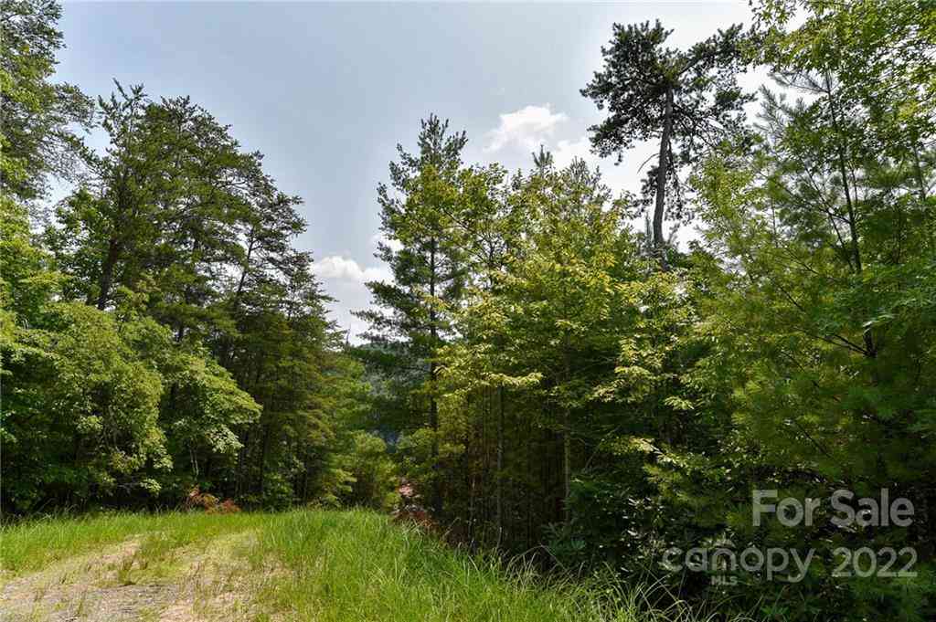 Lot 22 The Vines Boulevard #LOT 22, Marshall, North Carolina image 2