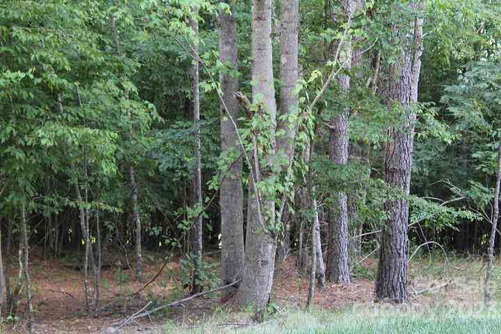 218 Table Rock Trace #166, Valdese, North Carolina image 7