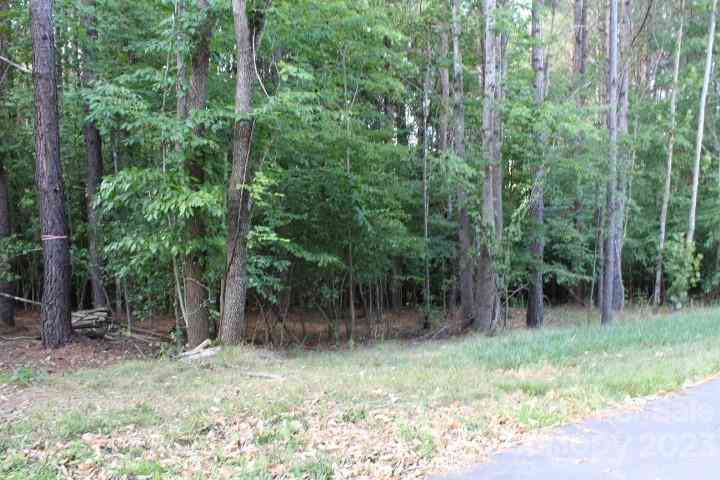 218 Table Rock Trace #166, Valdese, North Carolina image 4