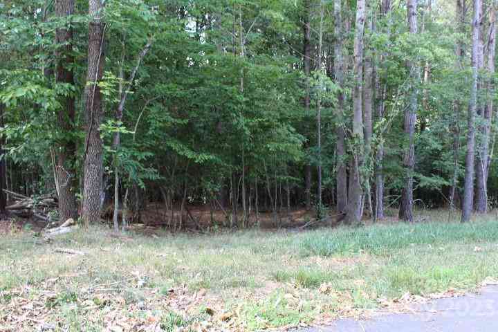 218 Table Rock Trace #166, Valdese, North Carolina image 5