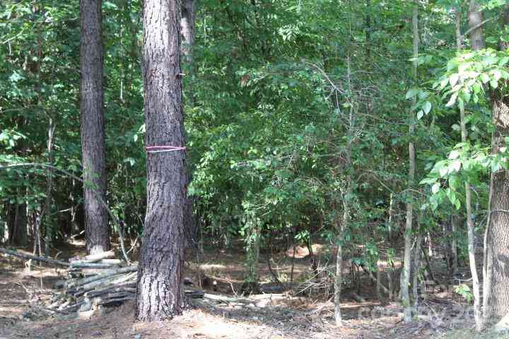 218 Table Rock Trace #166, Valdese, North Carolina image 3