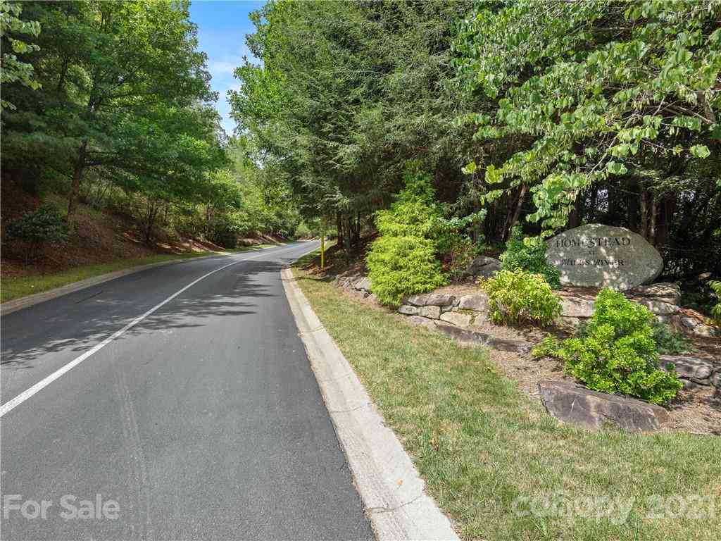 000 Shining Rock Path #69, Horse Shoe, North Carolina image 8