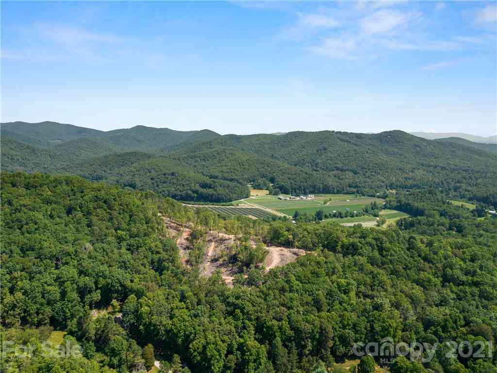 000 Shining Rock Path #69, Horse Shoe, North Carolina image 5