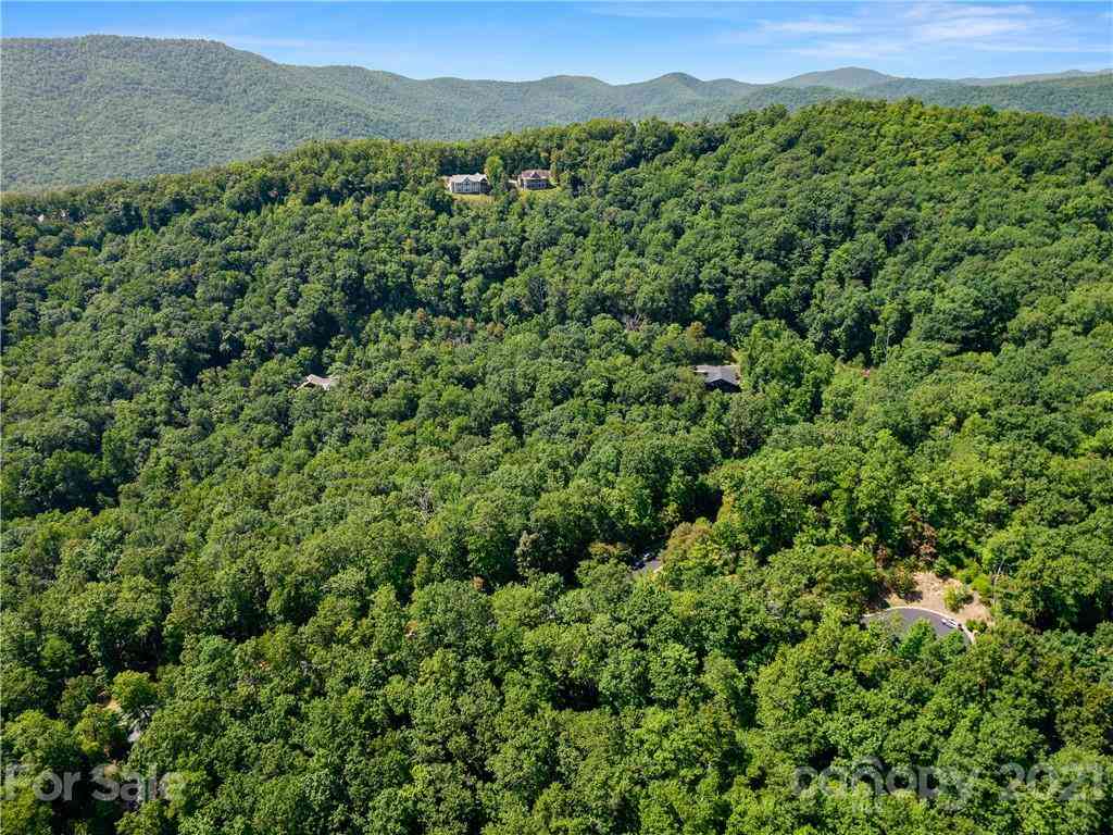 000 Shining Rock Path #69, Horse Shoe, North Carolina image 6