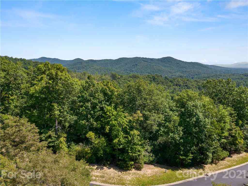 000 Shining Rock Path #69, Horse Shoe, North Carolina image 3