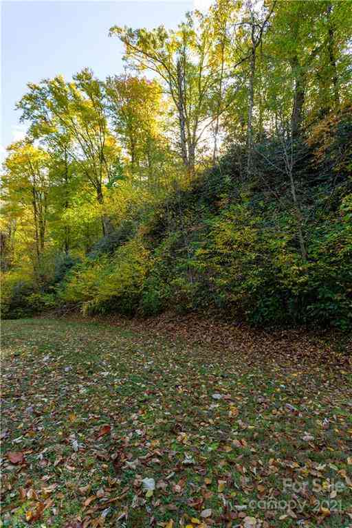 Lot 13 Black Rock Road #13, Qualla, North Carolina image 9