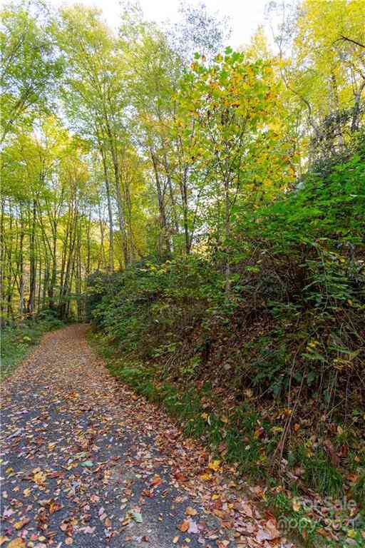 Lot 13 Black Rock Road #13, Qualla, North Carolina image 6