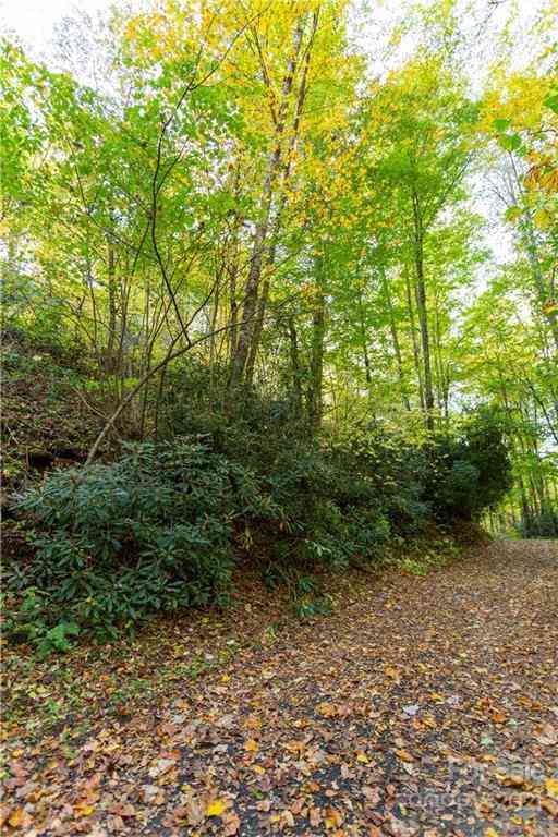 Lot 13 Black Rock Road #13, Qualla, North Carolina image 5