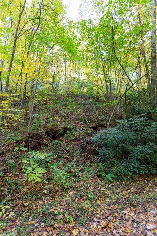 Lot 13 Black Rock Road #13, Qualla, North Carolina image 4