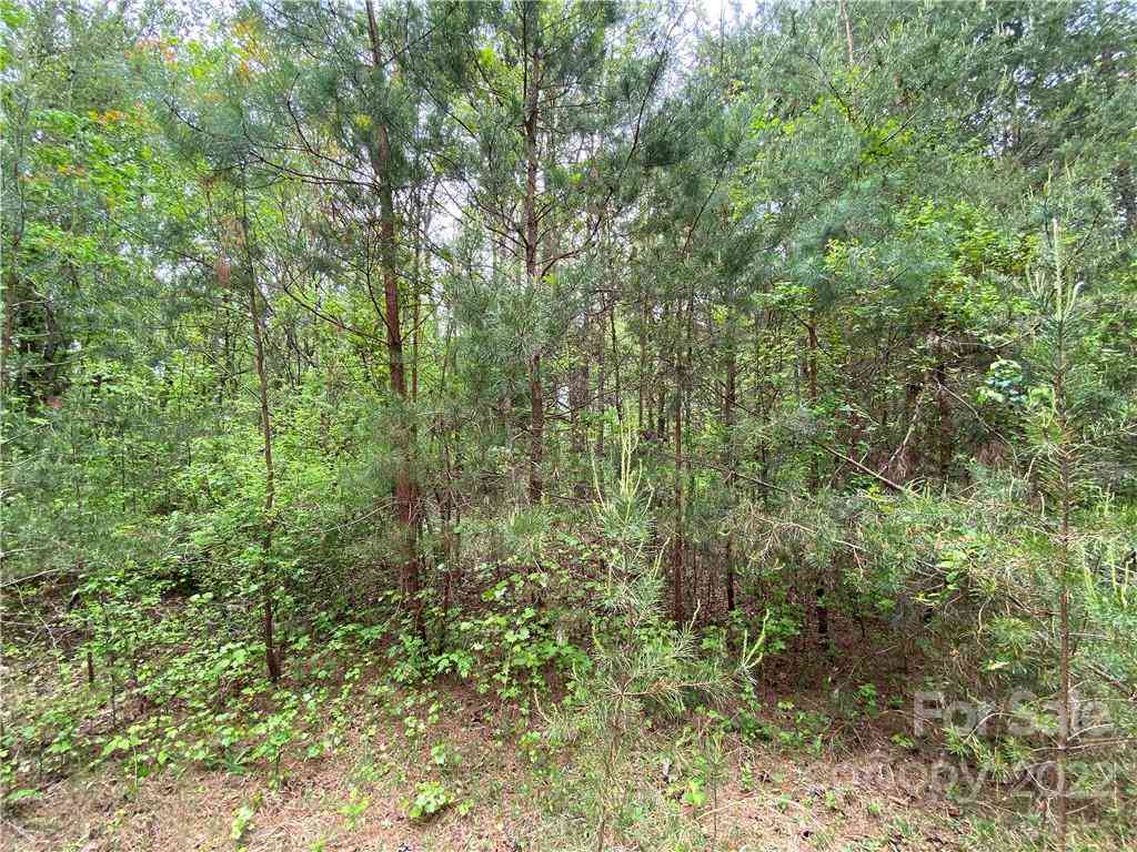 00 Sunrise Trail, Lincolnton, North Carolina image 26