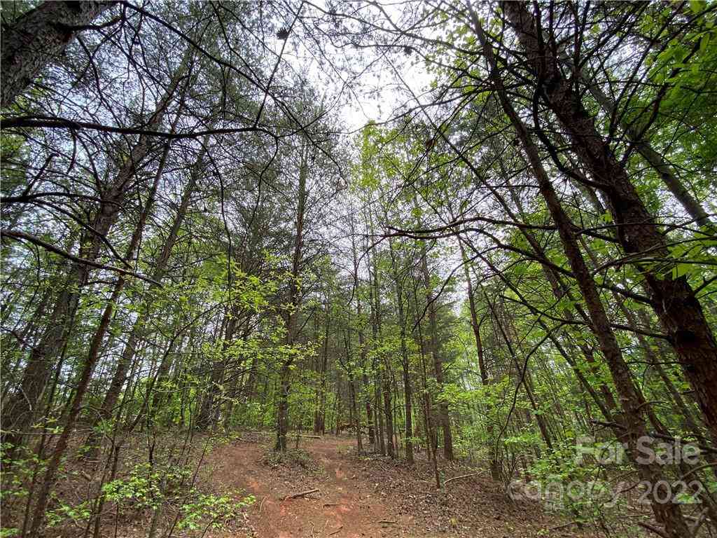 00 Sunrise Trail, Lincolnton, North Carolina image 40