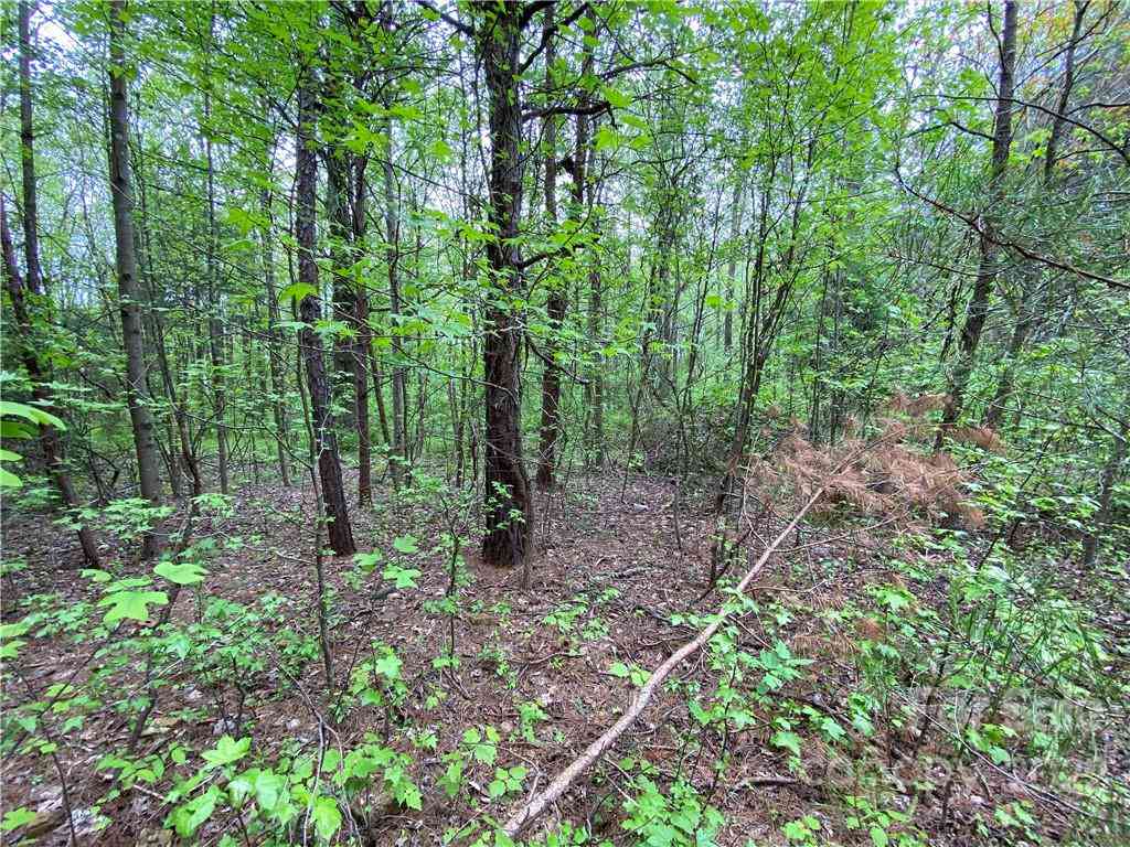 00 Sunrise Trail, Lincolnton, North Carolina image 31